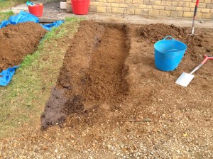 2nd strip done, and another explosion of ants oh joy!