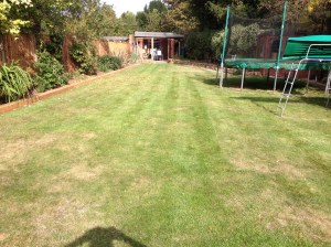 September 2014 before Mo-bactor applied