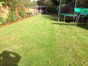 1 week after Mo-bactor applied starting to green u 