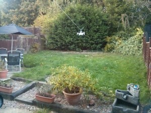 Unruly conifers dominated the outlook, with wild grass at the edges, and pots cluttering the foreground 