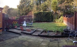 Clipped, tidied, moved around :)